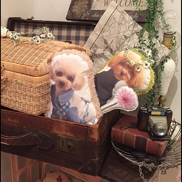 Miki_puriさんの実例写真