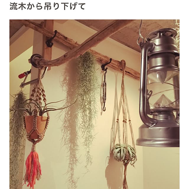 motomaki_zaouさんの実例写真