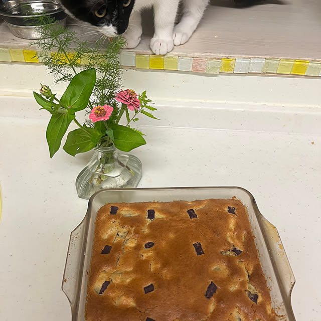 nさんの実例写真