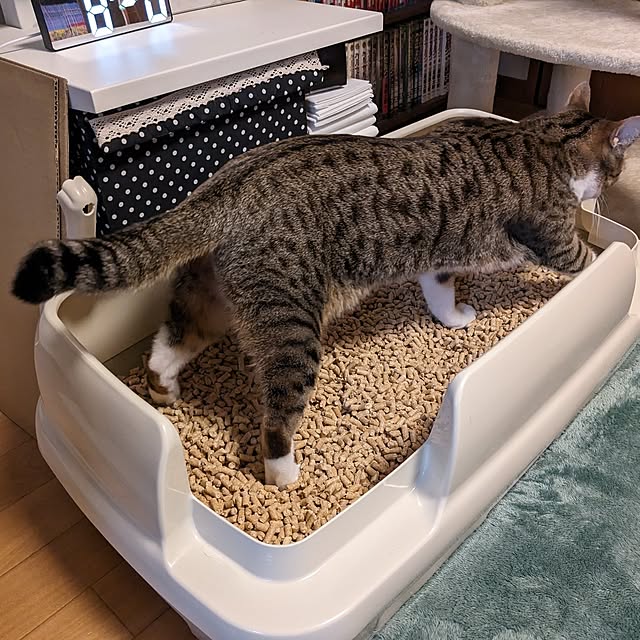 diopucciさんの実例写真