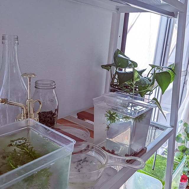 mi-saさんの部屋