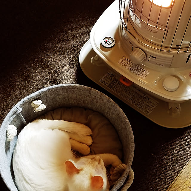 2catさんの実例写真