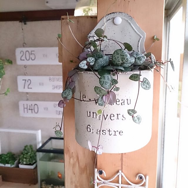 miporin0711さんの実例写真