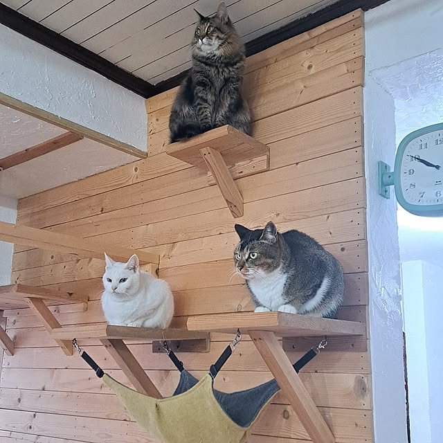 ayaさんの実例写真