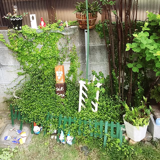 takakoさんの実例写真