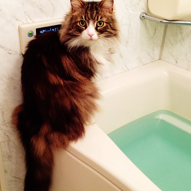 6さんの実例写真