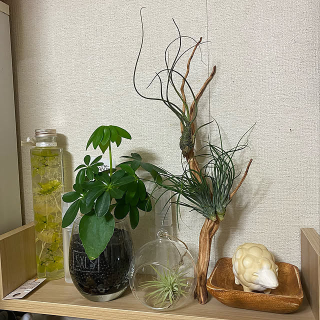 cranemaiさんの実例写真
