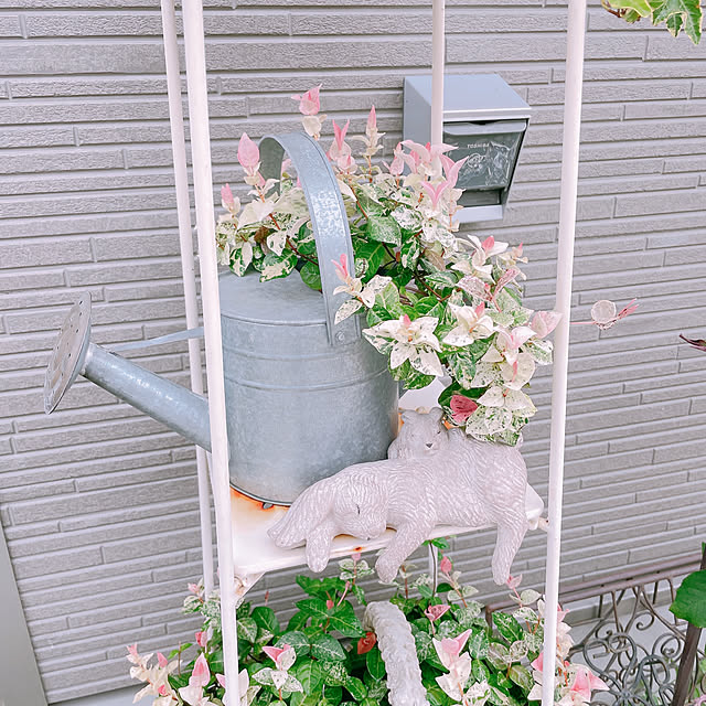 akiko-ovさんの実例写真