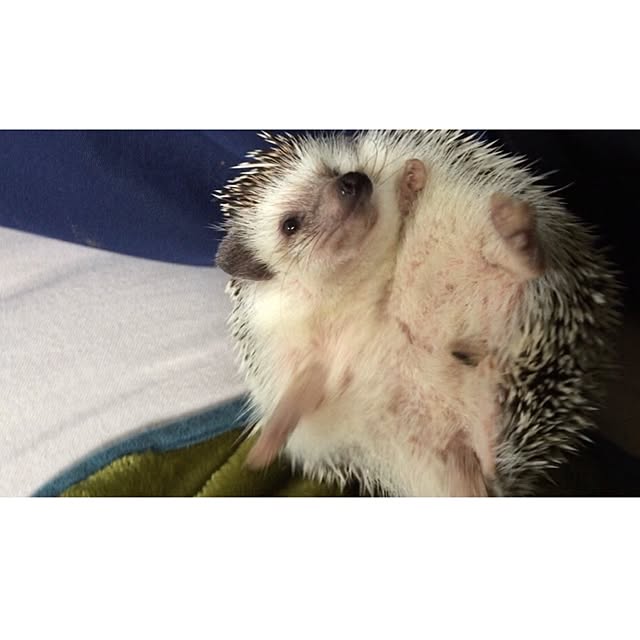ctaさんの実例写真