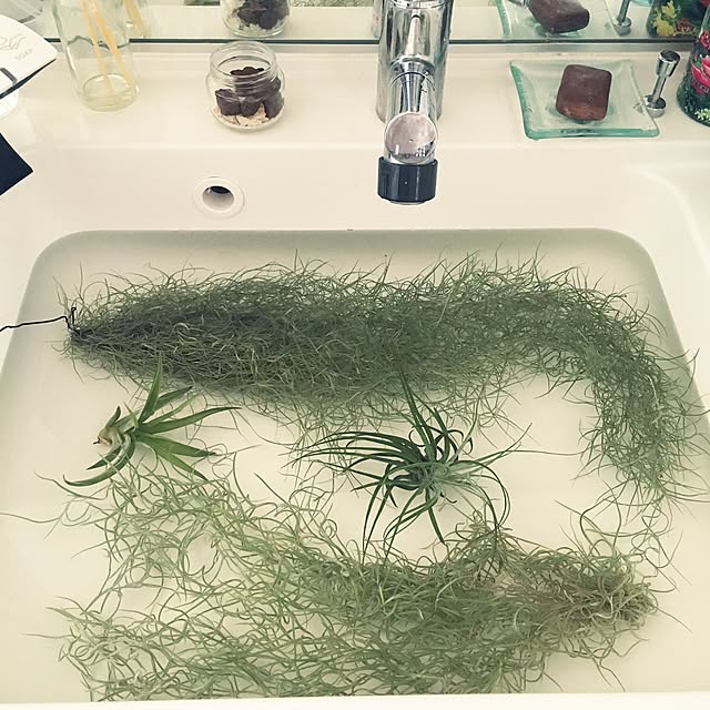 enaenaさんの実例写真