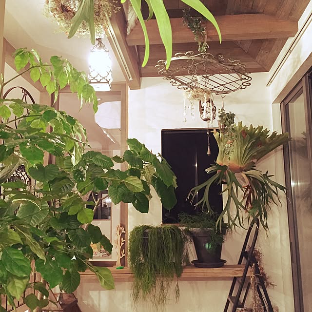 Antiqueさんの実例写真