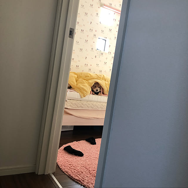 aki87koさんの実例写真