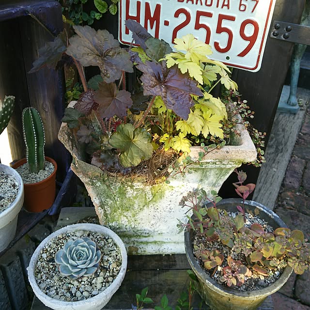 coronさんの実例写真