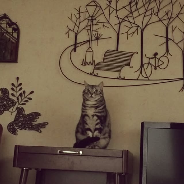 hideさんの実例写真