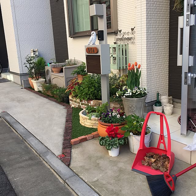 suzyさんの実例写真
