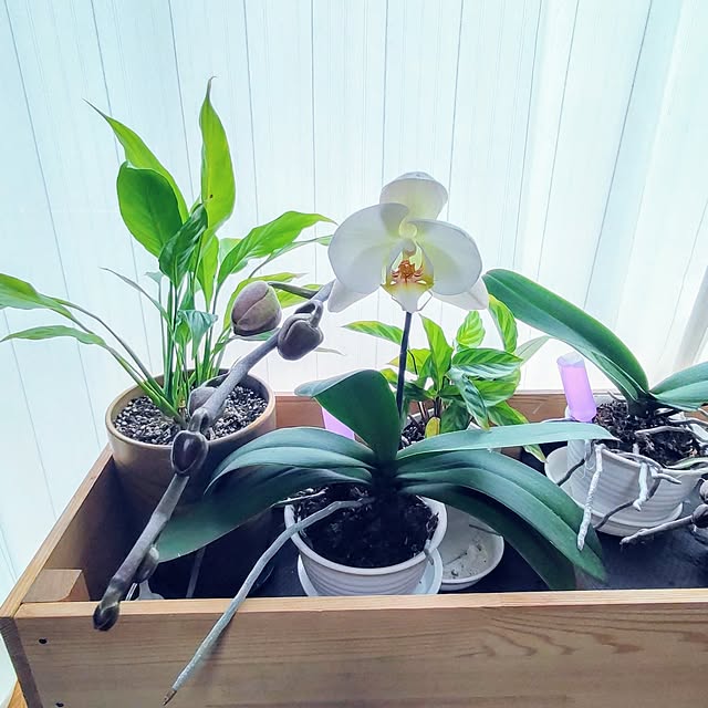 akiwaka-roomさんの実例写真