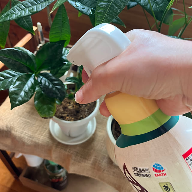 mogumoguさんの部屋