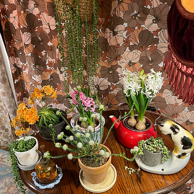 shin0719さんの実例写真