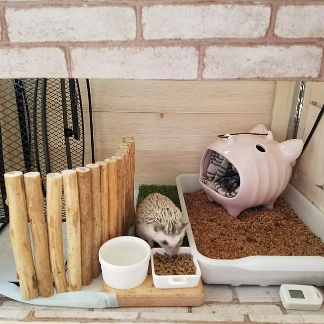 toriiiiiさんの実例写真