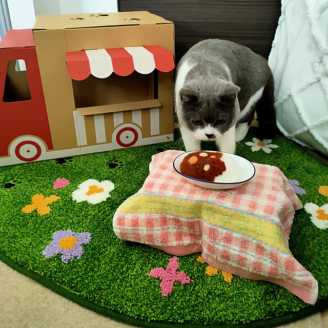 KEIKOさんの実例写真
