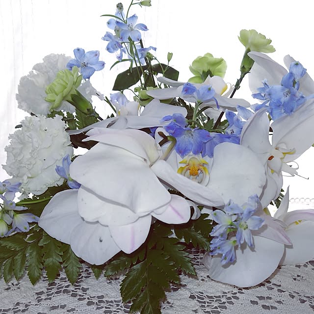 katさんの実例写真