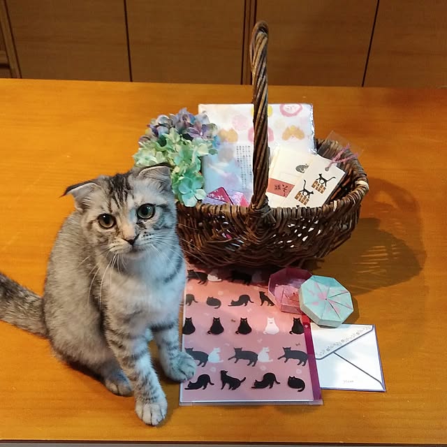 Gomaさんの実例写真