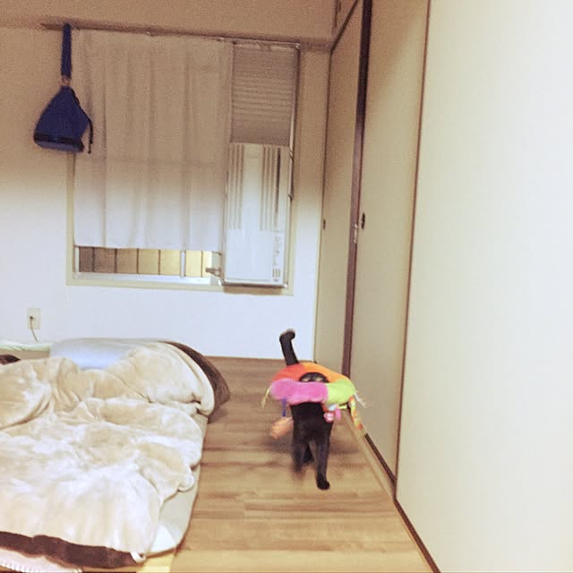 Beeさんの実例写真