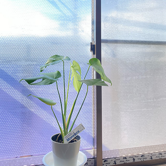piii723さんの実例写真