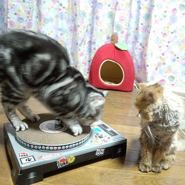 the.reformさんの実例写真