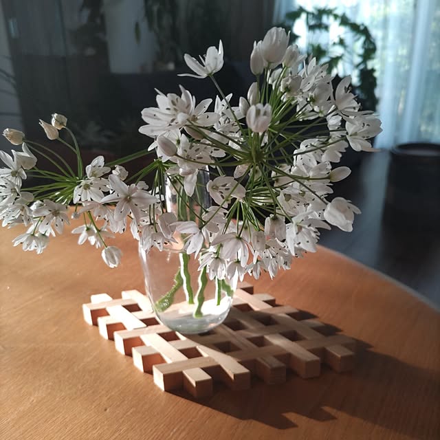momoさんの実例写真