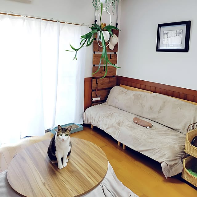 nachiさんの実例写真