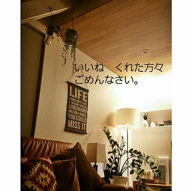 chieさんの実例写真