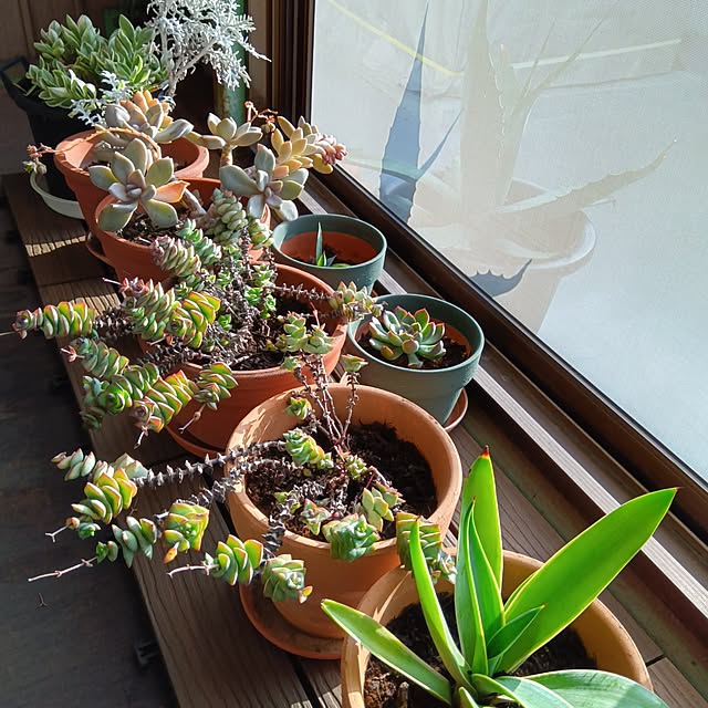 mikeさんの実例写真