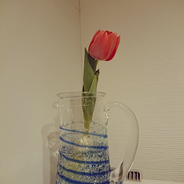 mamekoさんの実例写真