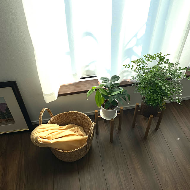 ayashigeさんの実例写真