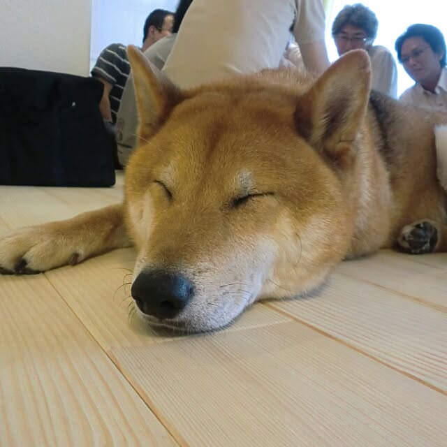 実例写真