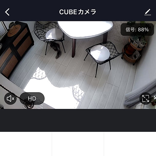 cotoriさんの実例写真