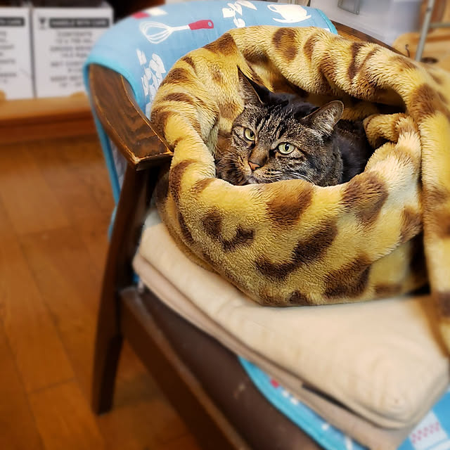 Mayumi8888さんの実例写真