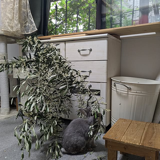 mori_6_12さんの部屋