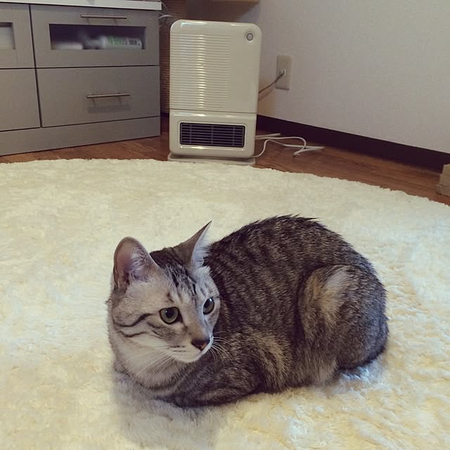Esunoさんの実例写真