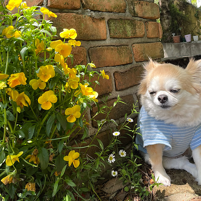 natsumiさんの部屋