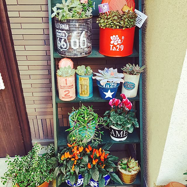 RobiHanaさんの実例写真