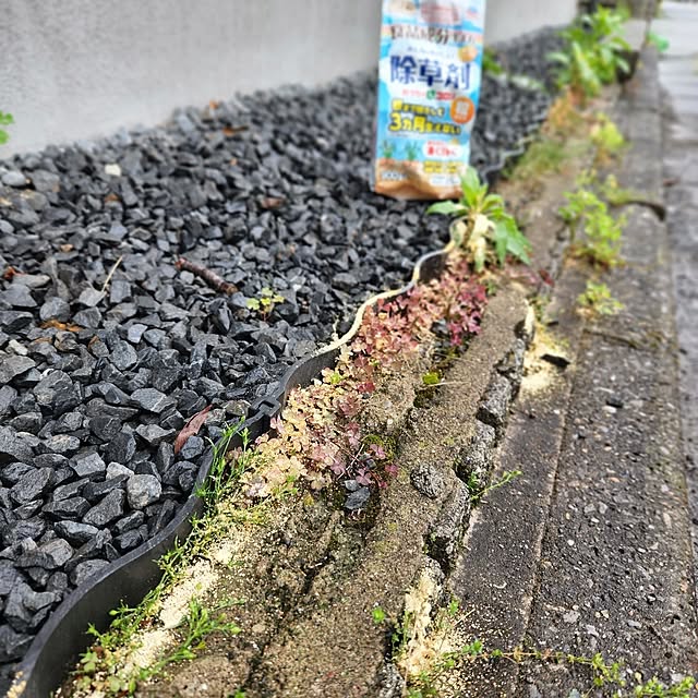 kossyさんの実例写真