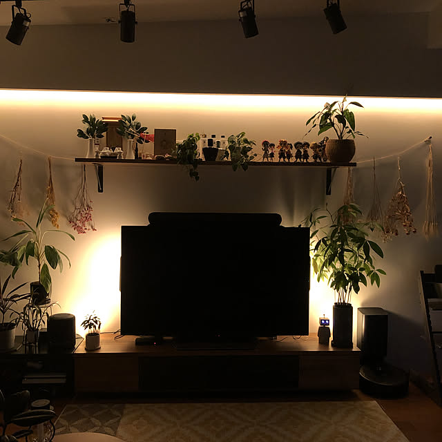 qolongislandさんの実例写真