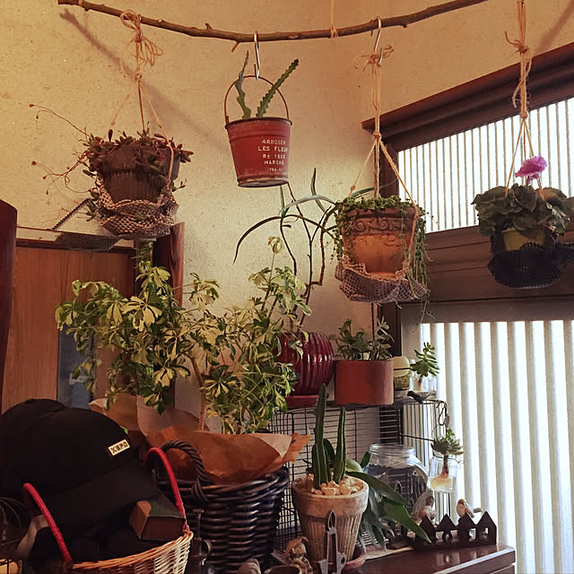 Haruさんの実例写真