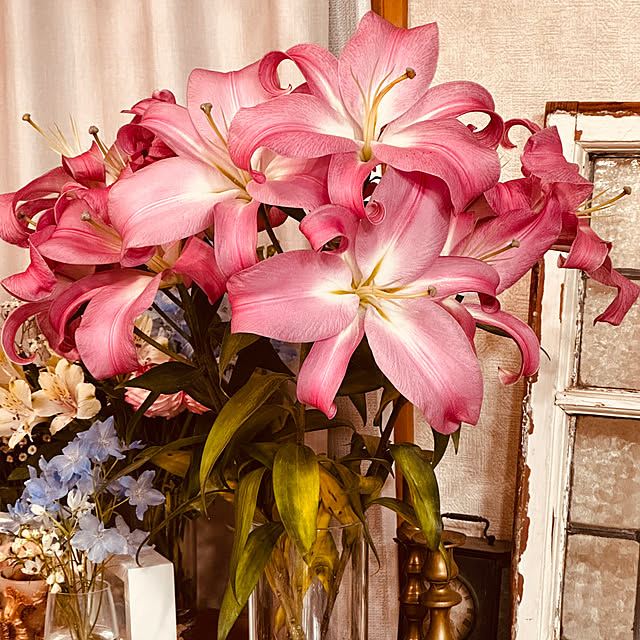 megmilkさんの実例写真