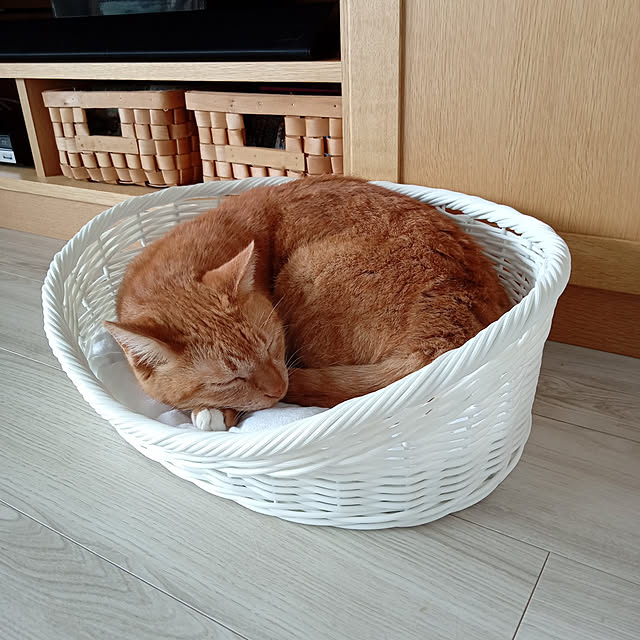 seasky825さんの実例写真