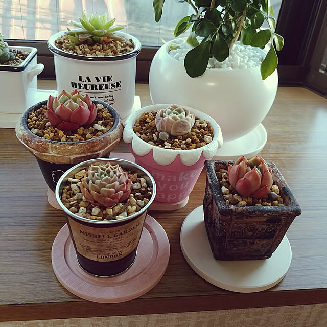 mymさんの実例写真