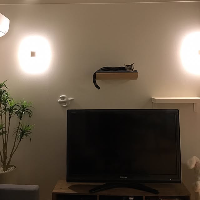 maripoさんの実例写真