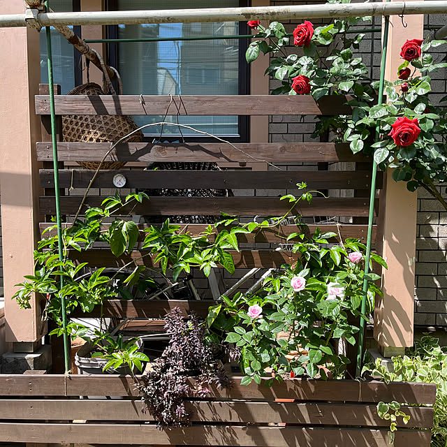 botanさんの部屋